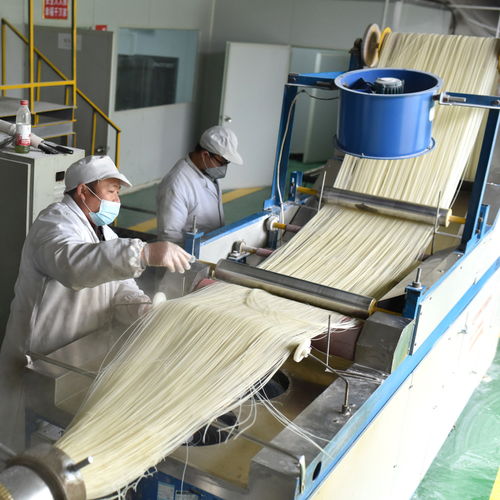 雙峰春節臨近，青樹坪米粉與碎石加工共譜生產繁忙曲